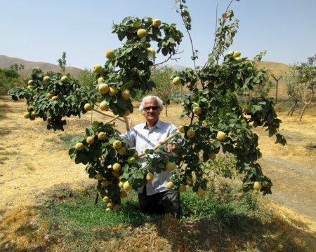 ویدئو«باغ جادویی»