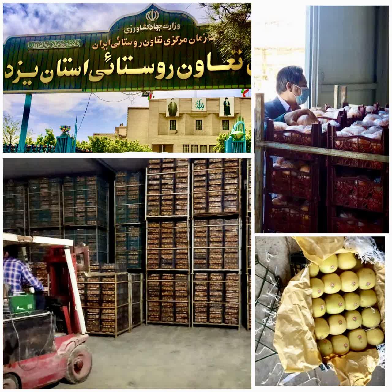 عرضه سیب و پرتقال تنظیم بازار به نرخ مصوب از ۲۵ اسفند ماه سال ۱۴۰۱ از طریق ۱۲۰ مرکز عرضه در سراسر استان یزد آغاز می شود