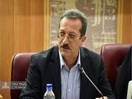 بهره مندی ۲/۹۷ درصد جمعیت روستایی از نعمت گاز طبیعی تا پایان سال جاری
