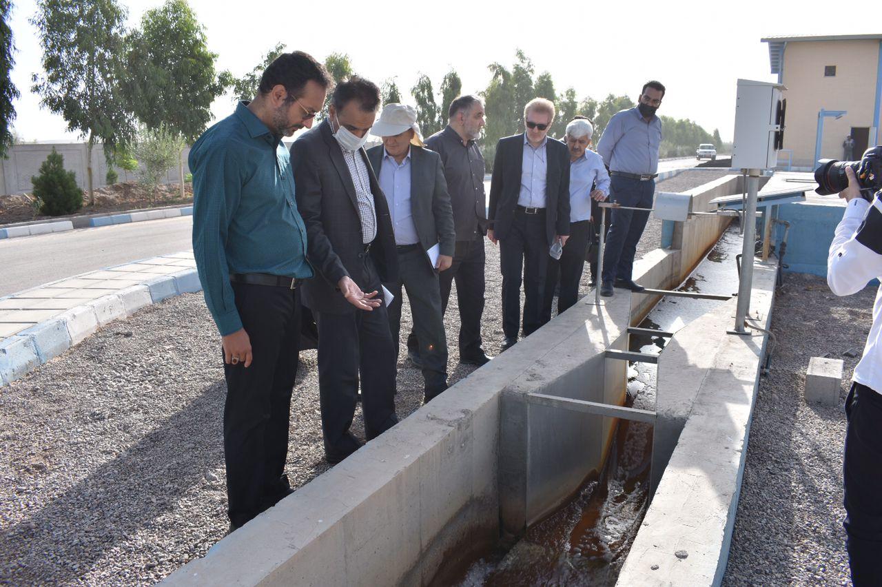 یزد الگوی کشت گلخانه ای برای کشاورزان کشور است