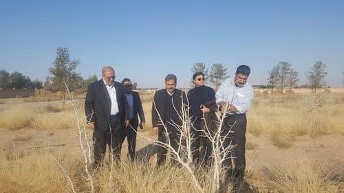 آموزش تولیدکنندگان نهال و تهیه دستورالعمل تولید نهال سالم