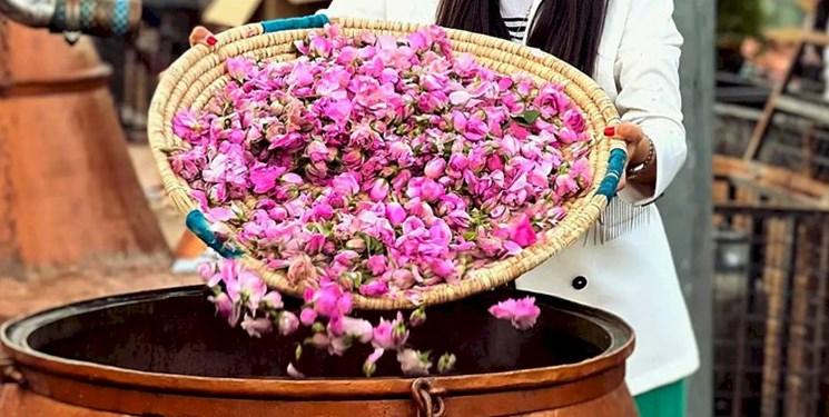جشنواره  گلاب‌گیری  روزهای پنجشنبه و جمعه ۶ و ۷ اردیبهشت ماه باغ جهانی دولت‌آباد یزد