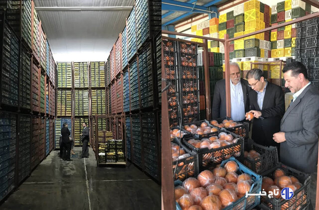 امکان افزایش ذخیره‌سازی میوه عید را داریم/عرضه میوه با کیفیت ۱۵ درصد زیر قیمت بازار