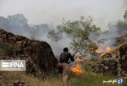 آتش سوزی منطقه ضرون کوهدشت مهار شد