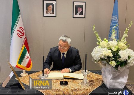 ادای احترام سفرا و دیپلمات‌های خارجی در نیویورک به جان‌باختگان حادثه بندرعباس + فیلم
