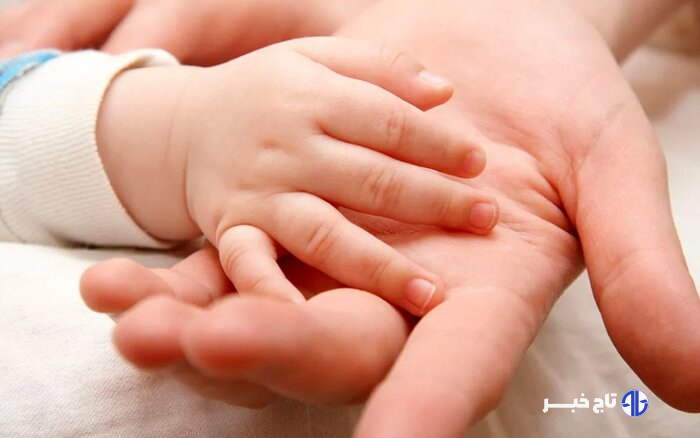 از دستگیری شکارچی فضای مجازی تا نداشتن تمایل ۷۷ درصد زوجین به فرزندآوری