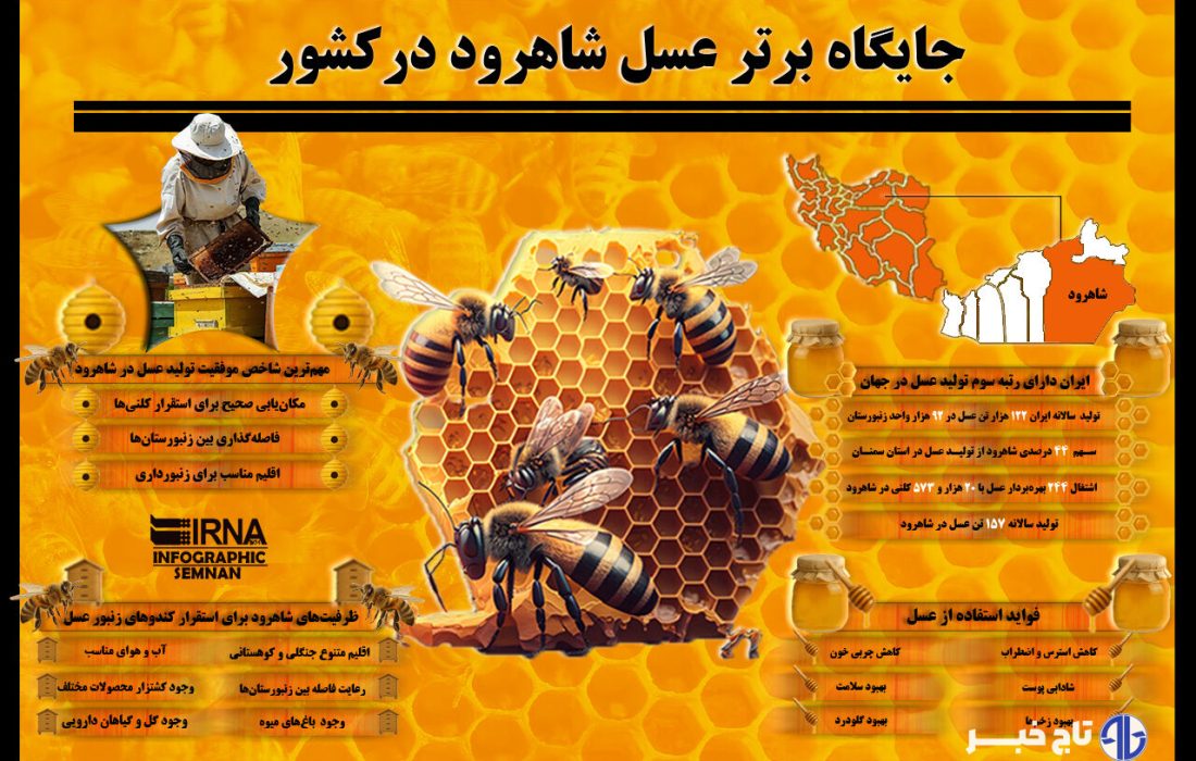 اینفوگرافیک | جایگاه برتر عسل شاهرود در کشور