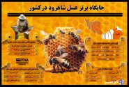 اینفوگرافیک | جایگاه برتر عسل شاهرود در کشور
