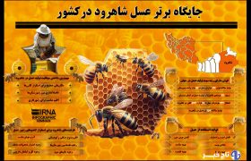 اینفوگرافیک | جایگاه برتر عسل شاهرود در کشور
