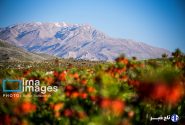 تهیه اطلس خدمات اکوسیستمی/ ارزشگذاری اقتصادی ۶ استان به پایان رسیده است