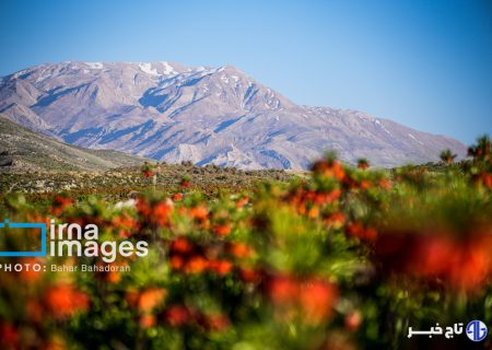 تهیه اطلس خدمات اکوسیستمی/ ارزشگذاری اقتصادی ۶ استان به پایان رسیده است
