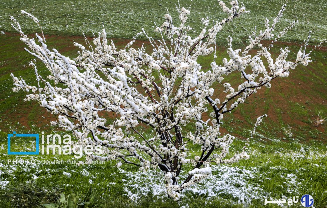 دریاچه ارومیه این هفته پرباران‌ترین حوضه آبی کشور است