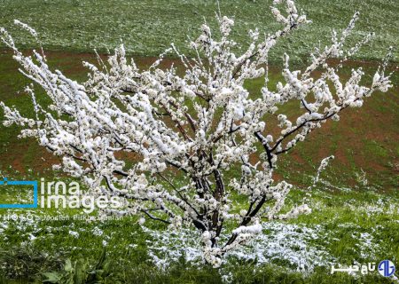 دریاچه ارومیه این هفته پرباران‌ترین حوضه آبی کشور است