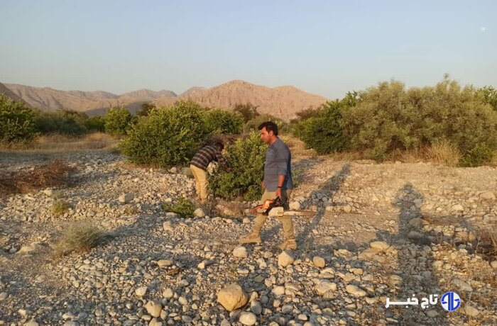 رفع تصرف بیش از هزار هکتار اراضی ملی در گچساران