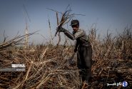 فرماندار: برخی مسایل کارگری شوش سال‌ها بدون راه حل باقی مانده است