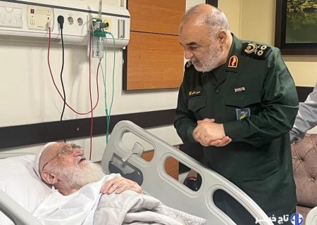 فرمانده کل سپاه از آیت الله نوری همدانی عیادت کرد