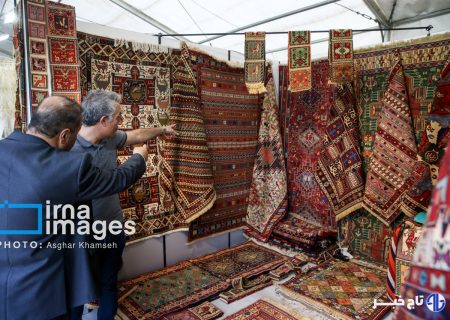 نخستین نمایشگاه مشاغل خانگی البرز گشایش یافت