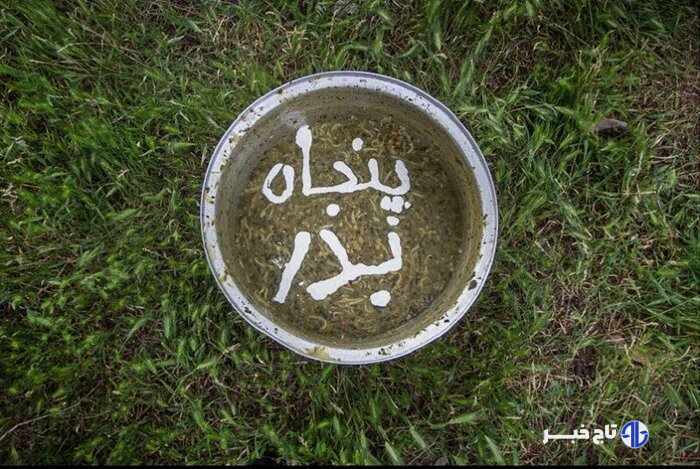 "پنجاه‌به‌در" یا باران‌خواهی قزوینی‌ها/ یک رسم کهن در تاریخ
