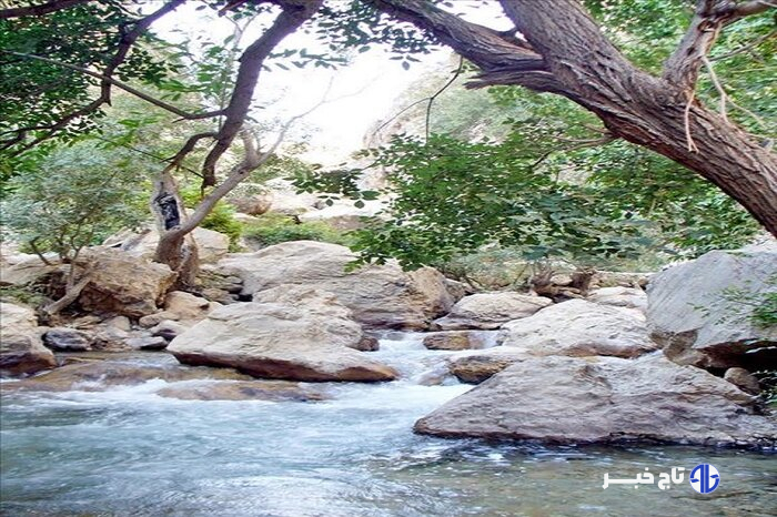 کهگیلویه وبویراحمد به وقت بهار؛چشم نوازی طبیعت سحر انگیزش تا آبشارهای مفرح