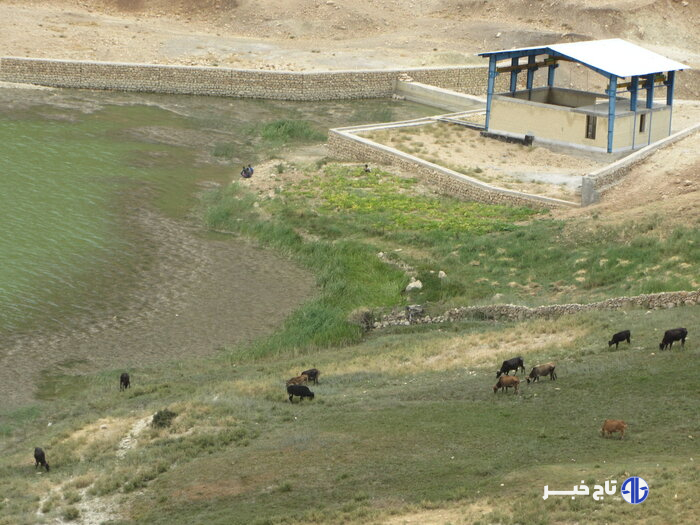کهگیلویه وبویراحمد به وقت بهار؛چشم نوازی طبیعت سحر انگیزش تا آبشارهای مفرح