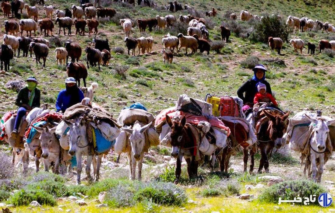 کوچ بهاری عشایر گلستان؛ بازگشت به ییلاقات زادگاه