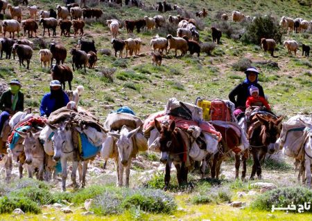 کوچ بهاری عشایر گلستان؛ بازگشت به ییلاقات زادگاه