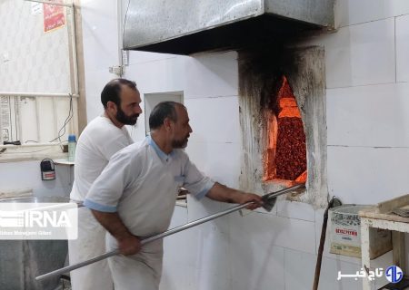 ۳۰ درصد نانوایی‌های اسفراین باید به سامانه سوخت دوم مجهز شوند