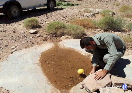 ۴۶ درصد چشمه ها و قنات‌های مناطق حفاظت شده گچساران خشک شد