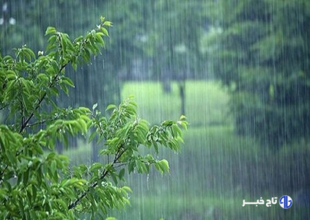 بارش باران مهمان زنجانی ها می شود