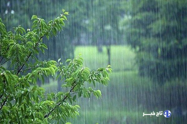 بارش باران مهمان زنجانی ها می شود