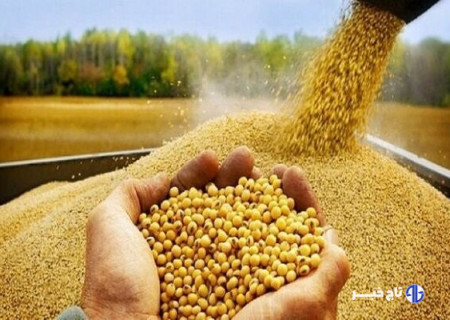 توزیع ۷۵ تن کالای اساسی برای حمایت از تولید کنندگان البرزی