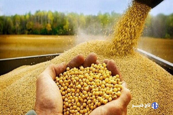 توزیع ۷۵ تن کالای اساسی برای حمایت از تولید کنندگان البرزی