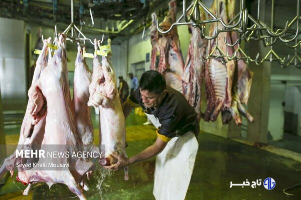 عرضه دام زنده با قیمت کیلویی ۳۴۰ هزار تومان در محرم
