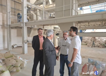 وضعیت مطلوب خرید گندم در شاهرود؛ ۳۵۰۰ تن محصول تحویل گرفته شد