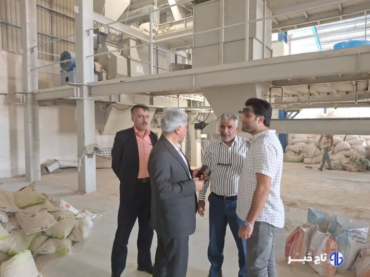 وضعیت مطلوب خرید گندم در شاهرود؛ ۳۵۰۰ تن محصول تحویل گرفته شد