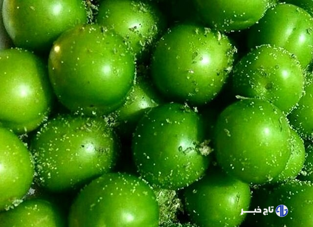 ۴۶۰ هکتار از باغات شهرستان تبریز به کشت آلوچه و گوجه سبز اختصاص دارد