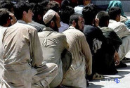 دستگیری ۳۳۵ اتباع بیگانه غیر مجاز در هیرمند