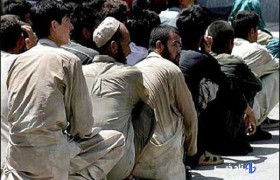 دستگیری ۳۳۵ اتباع بیگانه غیر مجاز در هیرمند