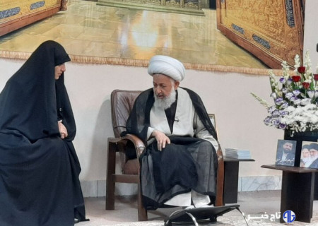 دیدار معاون امور زنان و خانواده رییس جمهور با پدر دو شهید جنگ ۱۲ روزه