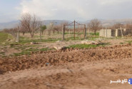 شناسایی ۸۴۴ مورد تغییر کاربری غیرمجاز اراضی کشاورزی در لرستان