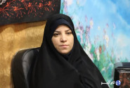 شورای فرهنگ عمومی نباید تنها یک نهاد تئوری باشد