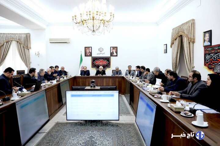 عارف: راهبرد دولت، تداوم پرداخت تسهیلات خرد برای اشتغال پایدار است