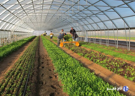 عملیات اجرایی شهرک گلخانه‌ای شهرستان اردبیل آغاز می‌شود