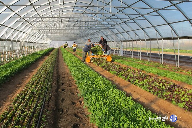 عملیات اجرایی شهرک گلخانه‌ای شهرستان اردبیل آغاز می‌شود