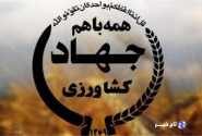 مدیر جدید جهاد کشاورزی خرم‌آباد معرفی شد