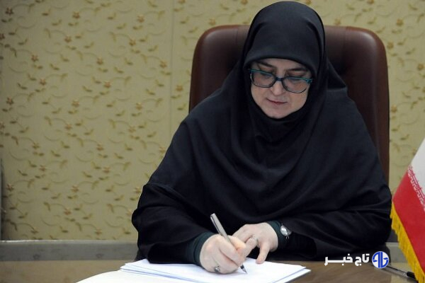 مهاجرانی: استرداد لایحه فضای مجازی در دولت تصویب شد