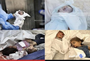 هاآرتص: ارتش اسرائیل طی یک ماه گذشته ۱۰۰۰ کودک را در غزه کشته است