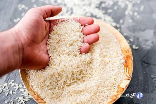 وزیر جهاد کشاورزی: قیمت برنج ایرانی در حال کاهش است