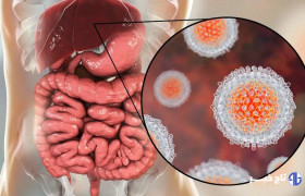 گسترش خدمات تشخیص و درمان هپاتیت C اولویت نظام سلامت کشور است