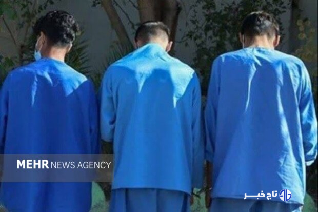 ۲۵ متهم تحت تعقیب در پلدختر دستگیر شدند